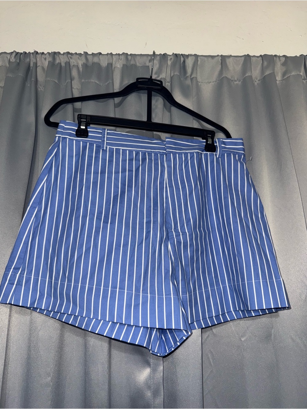 Reformation Blue and White Striped Men's Flat Front Shorts